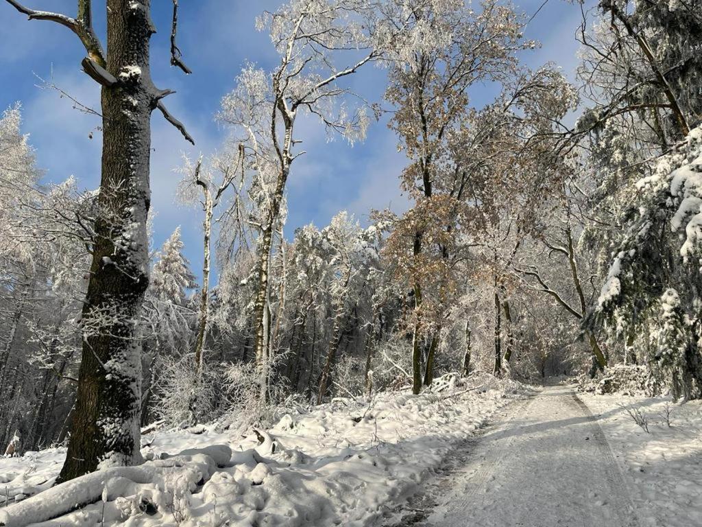 Haus Astenblick In Winterberg Fuer Bis Zu 35 Personen Fuer Wanderveranstaltungen Und Familienfeiern מראה חיצוני תמונה